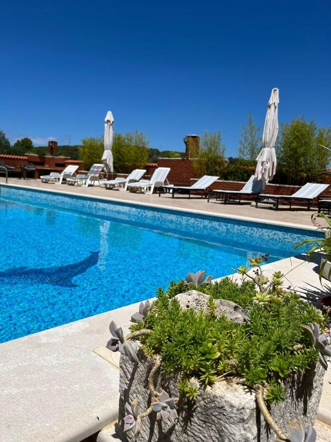 Gorana Studio Apartment Jelsa  Εξωτερικό φωτογραφία